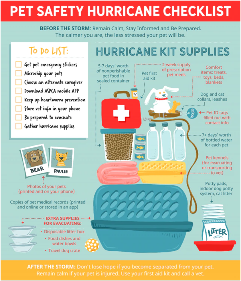 Emergency Preparedness for Your Pets